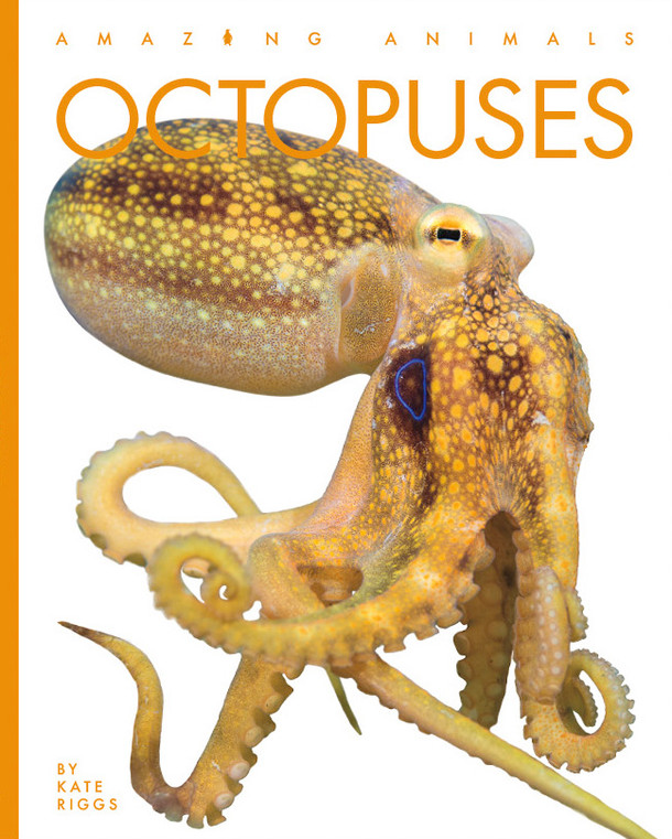 Amazing Animals: Octopuses (Hardcover)