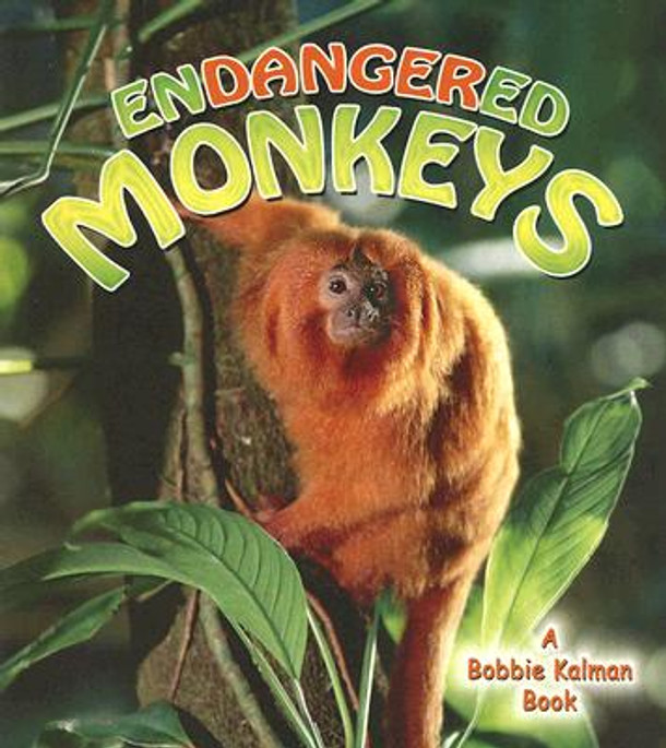 Endangered Monkeys (Paperback) Endangered Monkeys (Paperback)