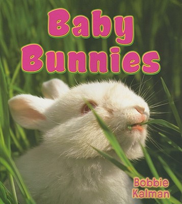 Baby Bunnies (Paperback)
