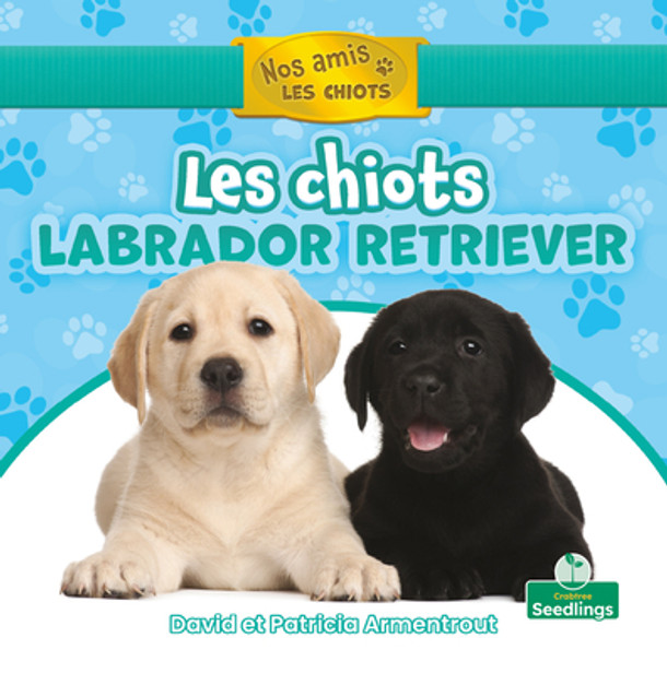 Les Chiots Labrador Retriever (Labrador Retriever Puppies) (Paperback)