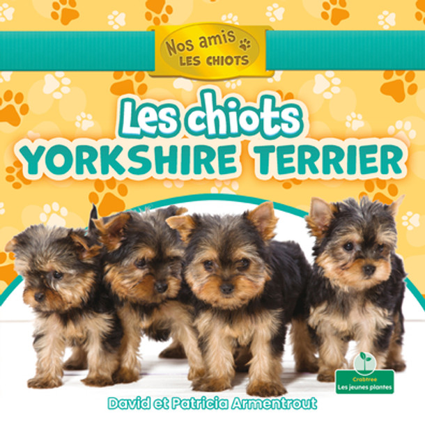 Les Chiots Yorkshire Terrier (Yorkshire Terrier Puppies) (Paperback)