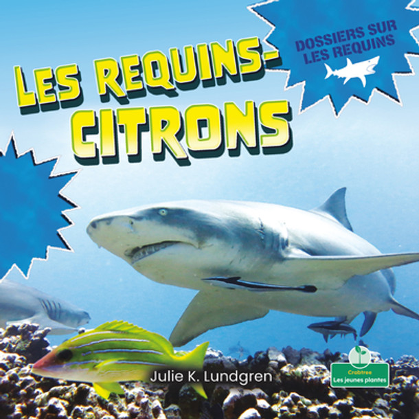 Les Requins-Citrons (Lemon Sharks) (Paperback)