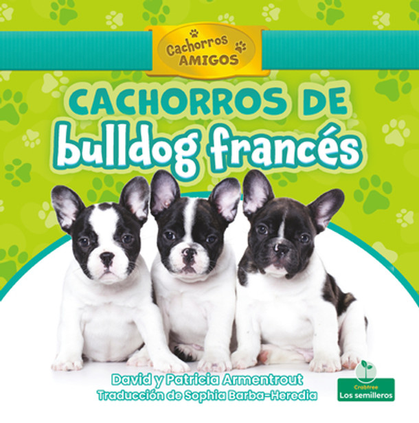 Cachorros de Bulldog Francés (French Bulldog Puppies) (Paperback)