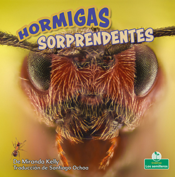 Hormigas Sorprendentes (Amazing Ants) (Paperback)
