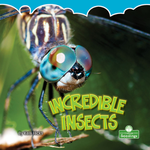 Incredible Insects (Paperback)