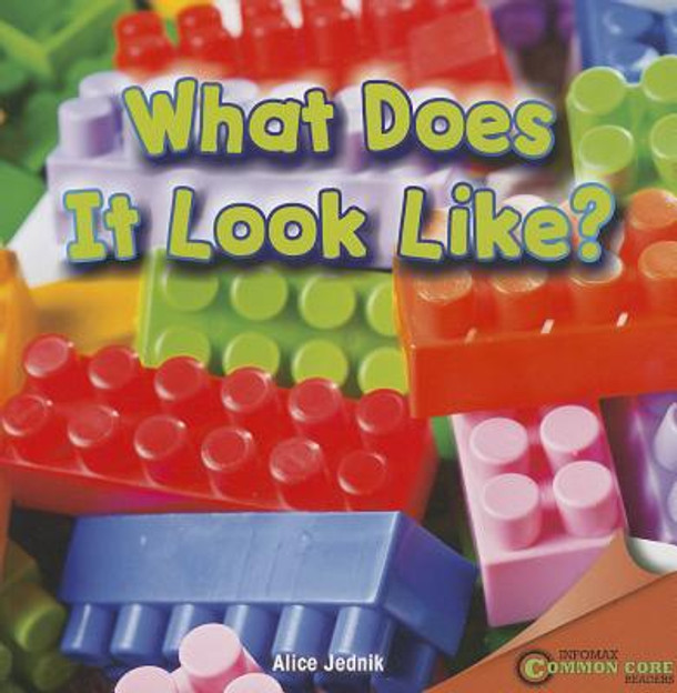 What Does It Look Like? (Paperback)