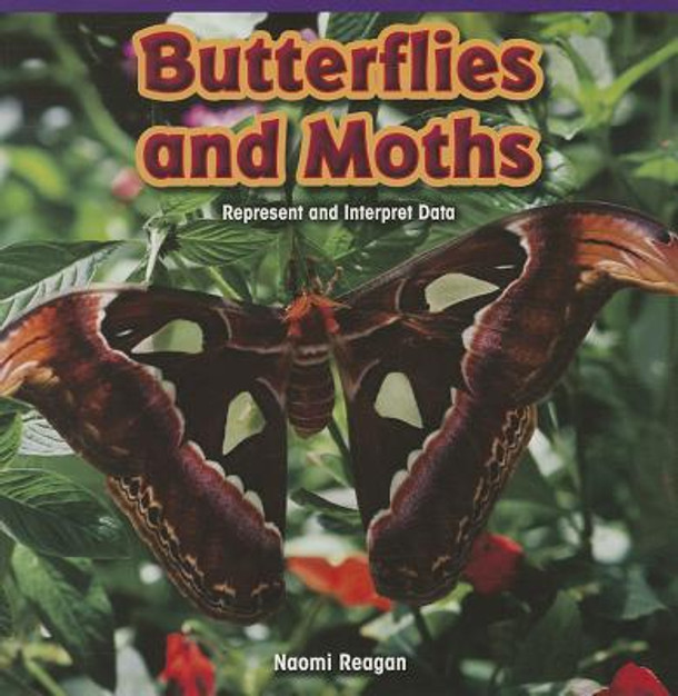 Butterflies and Moths: Represent and Interpret Data (Paperback)