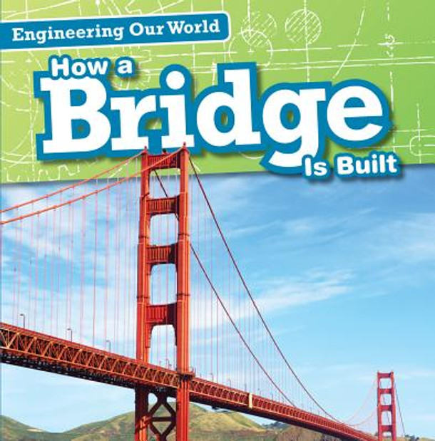 How a Bridge Is Built (Library Binding)