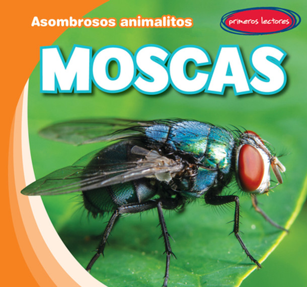 Moscas (Flies) (Paperback)