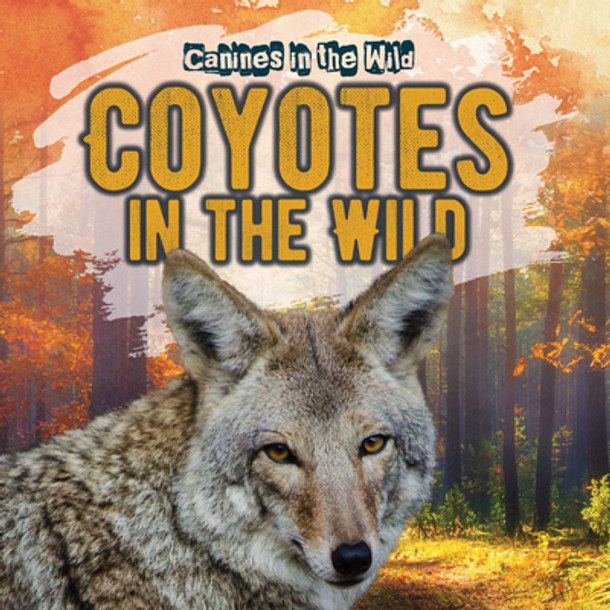 Coyotes in the Wild (Library Binding)