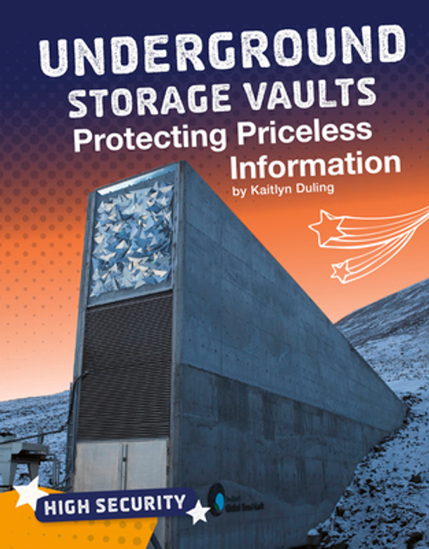 Underground Storage Vaults: Protecting Priceless Information (Hardcover)