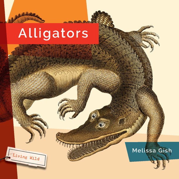 Living Wild: Alligators (Paperback) Living Wild: Alligators (Paperback)