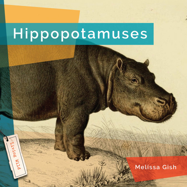 Living Wild: Hippopotamuses (Hardcover)