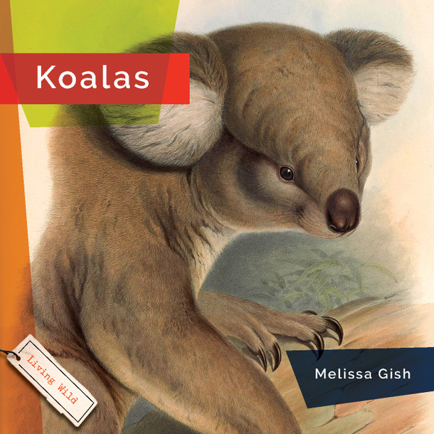 Living Wild: Koalas (Paperback)