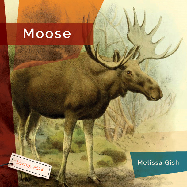 Living Wild: Moose (Paperback)
