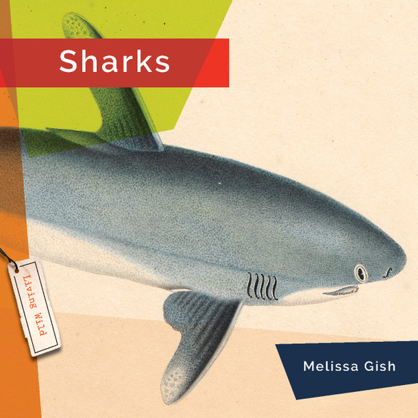 Living Wild: Sharks (Hardcover) Living Wild: Sharks (Hardcover)