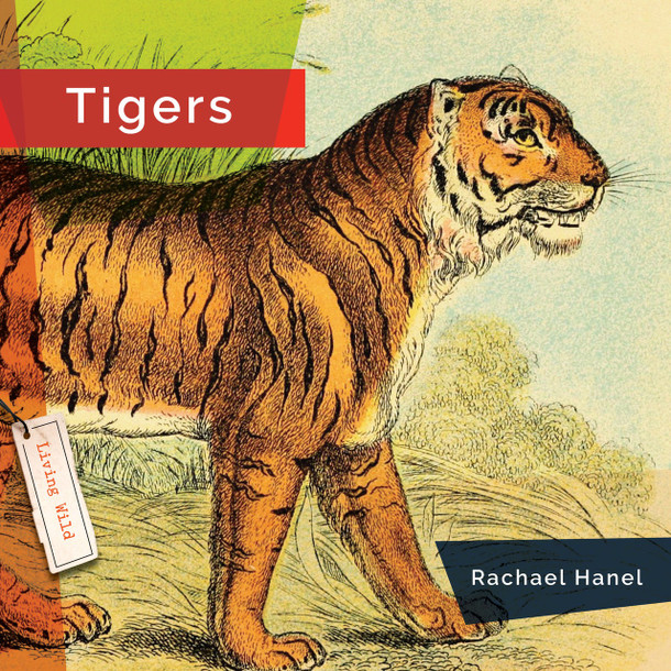 Living Wild: Tigers (Hardcover)