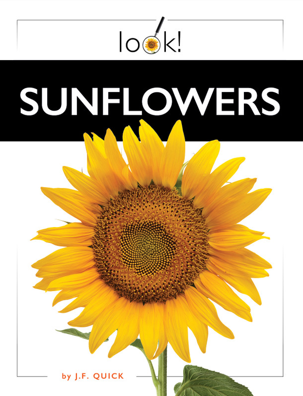 Look!: Sunflowers (Hardcover)