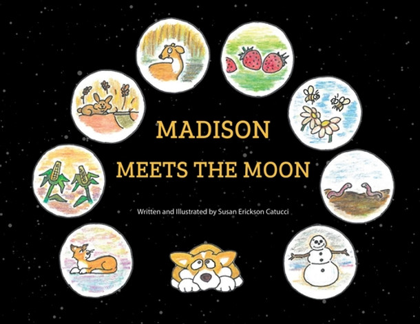Madison Meets the Moon (Paperback)