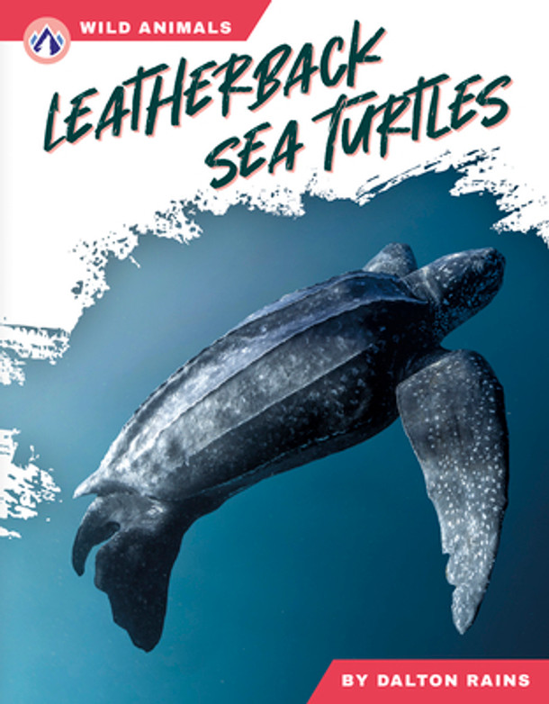 Leatherback Sea Turtles (Library Binding)
