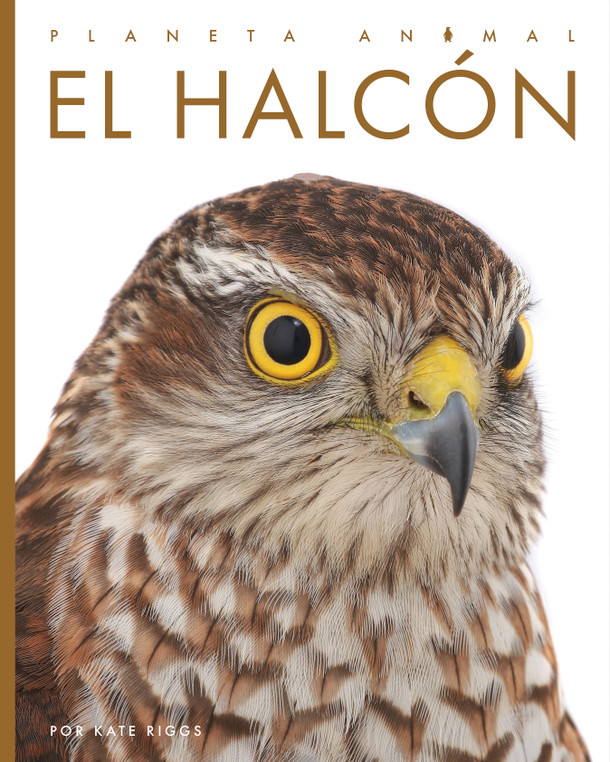 Planeta animal: El halcón (Hardcover)