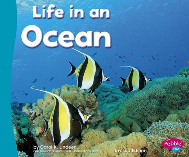 Life in an Ocean (Paperback)