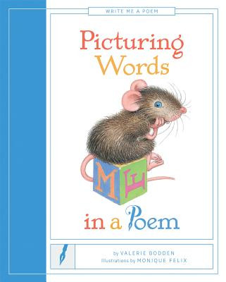 Picturing Words in a Poem (Library Binding)