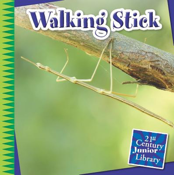 Walking Stick (Paperback) Walking Stick (Paperback)
