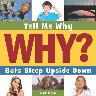 Bats Sleep Upside Down (Paperback)