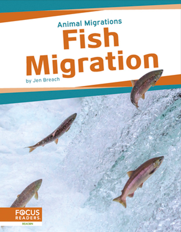 Fish Migration (Paperback)