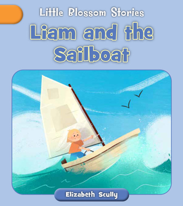 Liam and the Sailboat (Paperback) Liam and the Sailboat (Paperback)