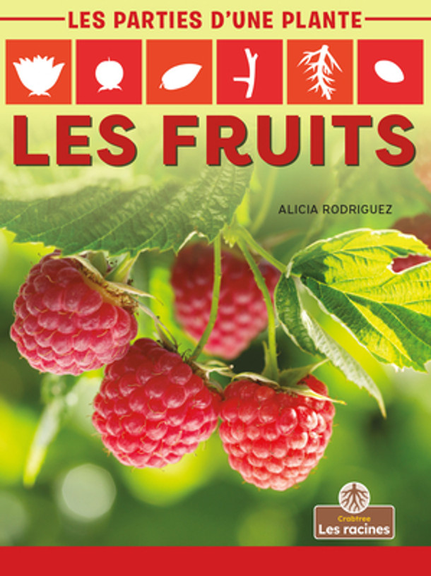 Les Fruits (Fruits) (Paperback)