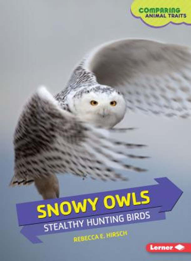 Snowy Owls: Stealthy Hunting Birds (Paperback)