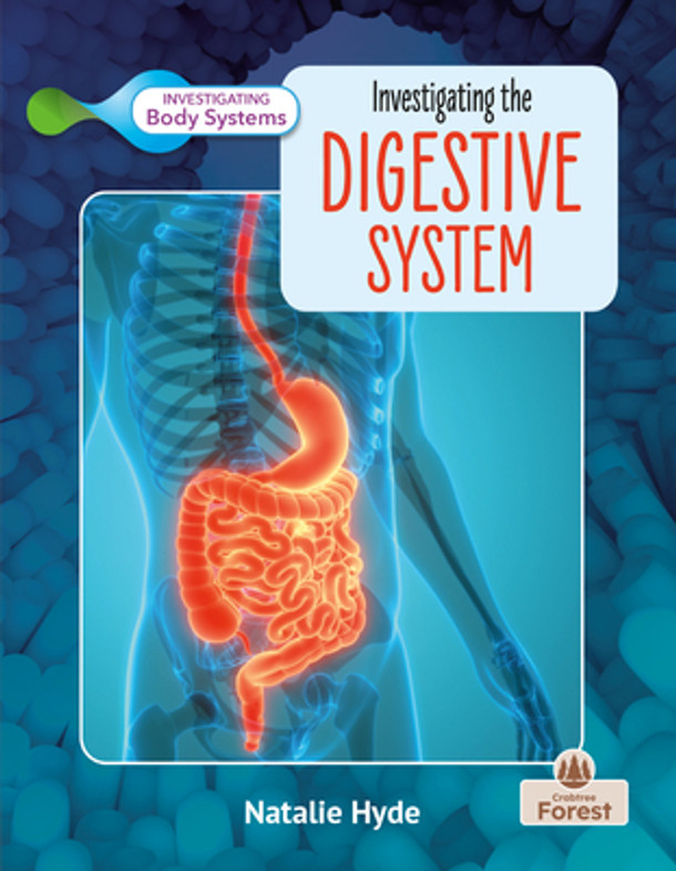 Investigating the Digestive System (Paperback)
