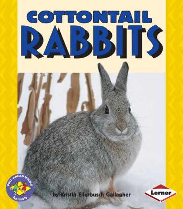Cottontail Rabbits (Paperback)