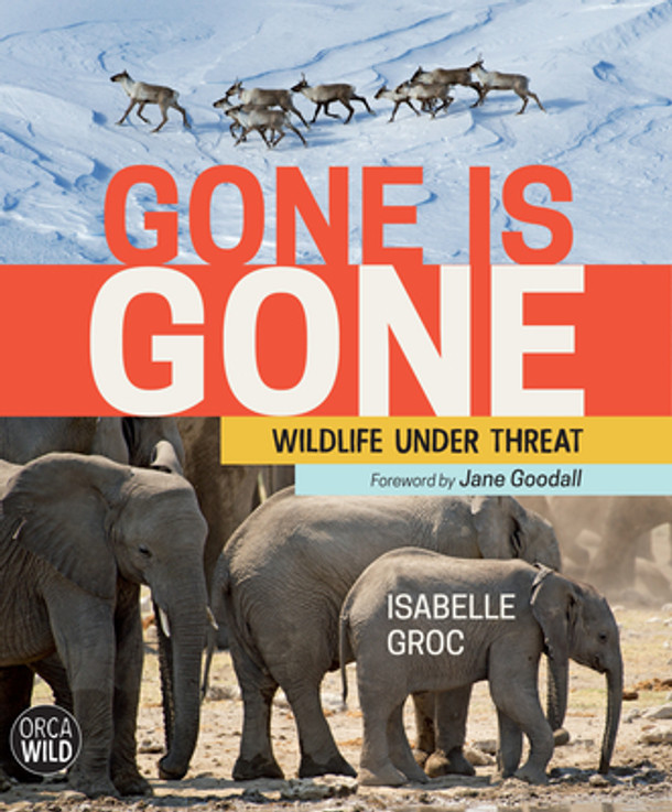 Gone Is Gone: Wildlife Under Threat (Hardcover)