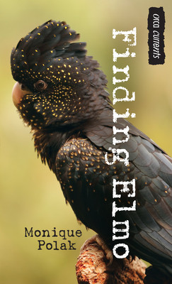 Finding Elmo (Paperback)