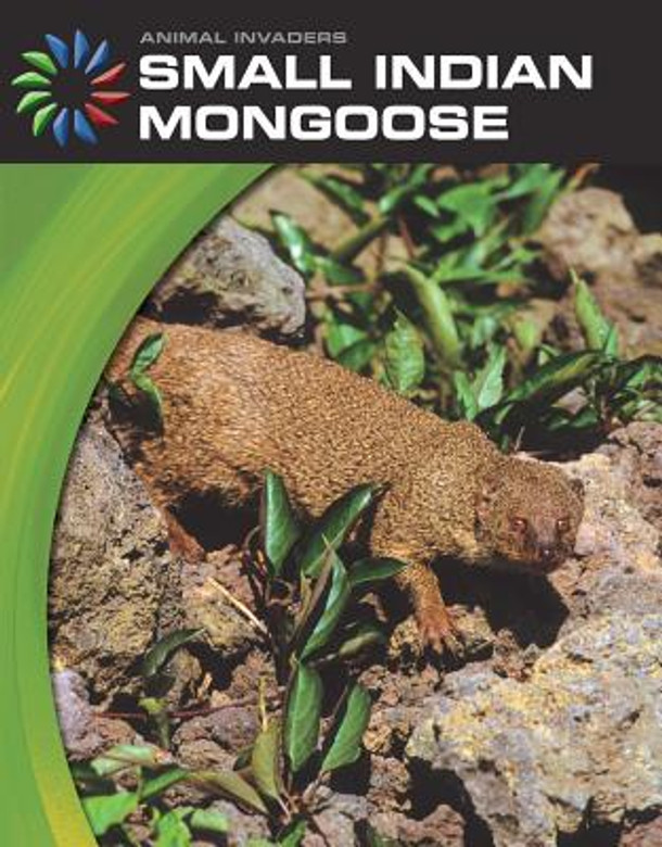 Small Indian Mongoose (Library Binding)