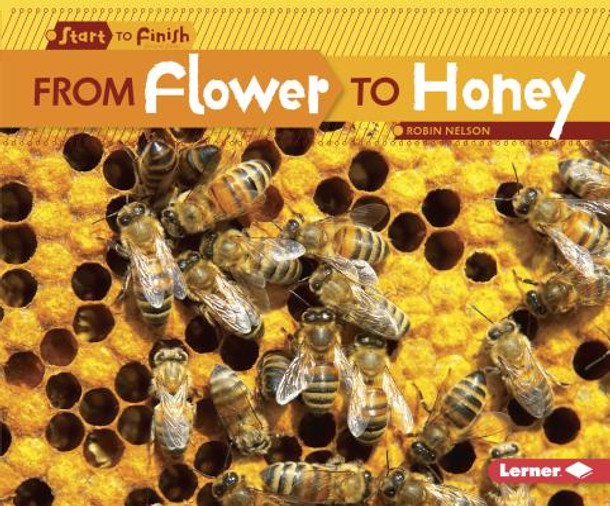 From Flower to Honey (Paperback)