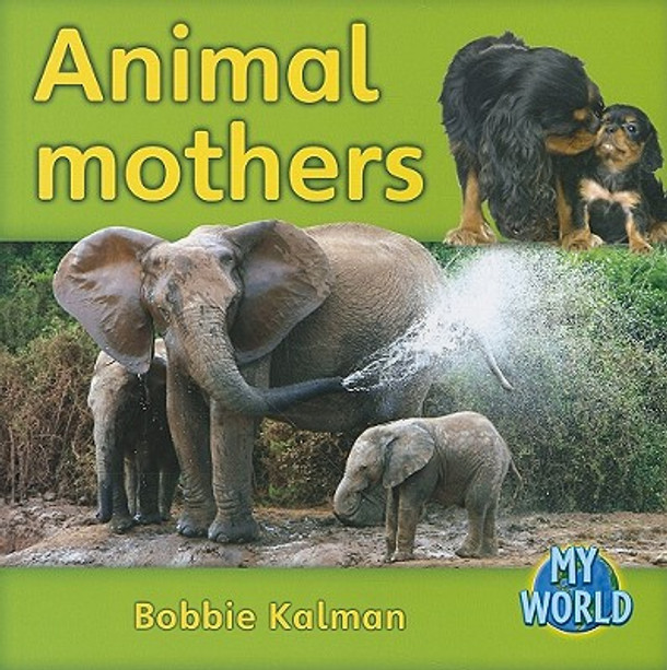 Animal Mothers (Paperback)