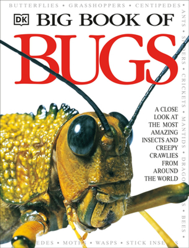 Big Book of Bugs (Hardcover)