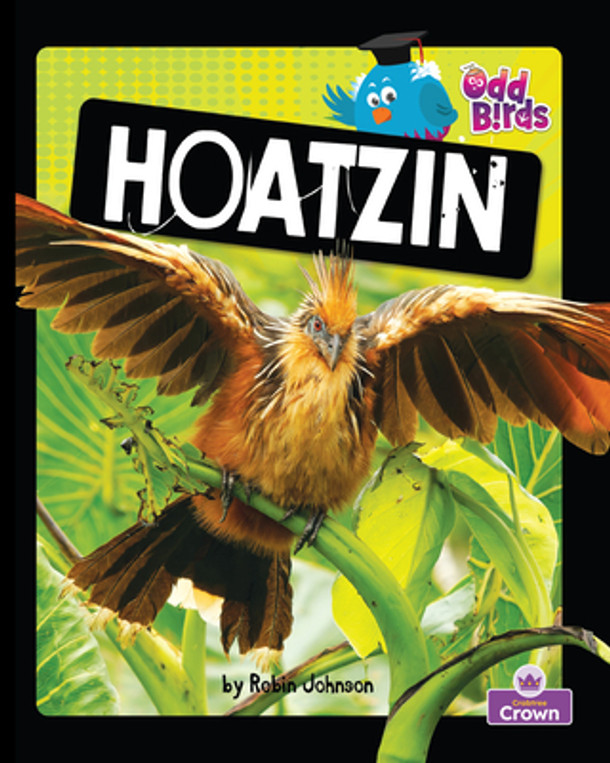 Hoatzin (Paperback)