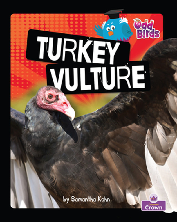 Turkey Vulture (Paperback)