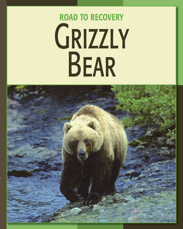 21st Century Skills Library: Grizzly Bear (Library binding)
