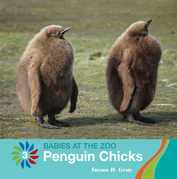 21st Century Basic Skills Library: Penguin Chicks (Library binding)