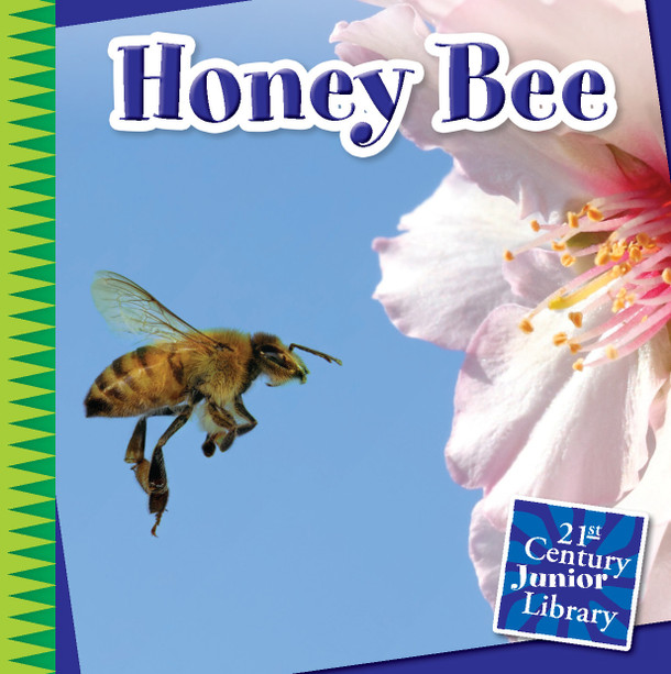 21st Century Junior Library: Honey Bee (Library binding)