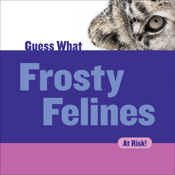 Guess What: Frosty Felines (Library binding)