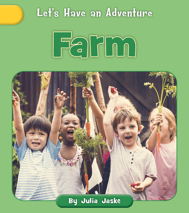 Let's Have an Adventure: Farm (Paperback)