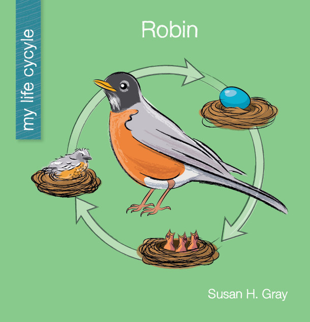 My Early Library: Robin (Paperback)