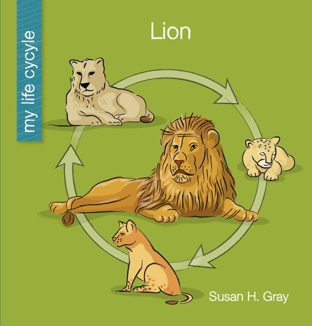 My Early Library: Lion (Paperback)